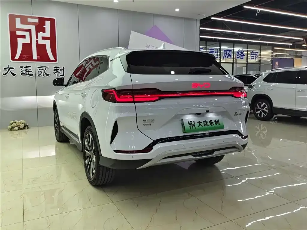BYD PLUS New Energy — фото 4