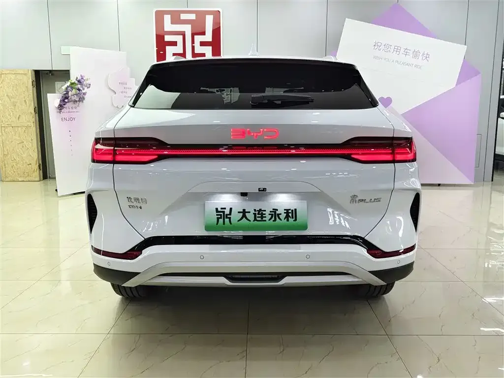 BYD PLUS New Energy — фото 5