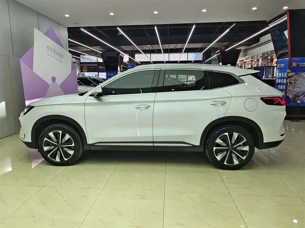 BYD PLUS New Energy — фото 6