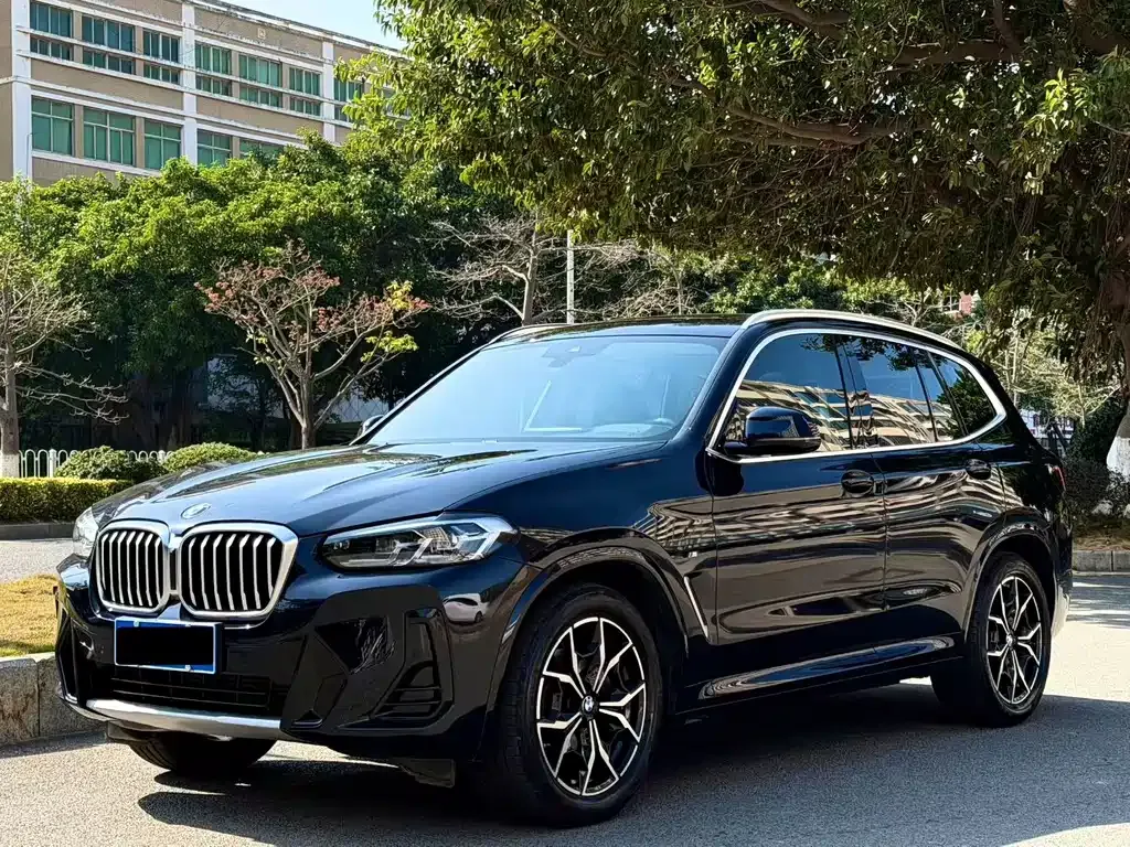BMW X3 — фото 1