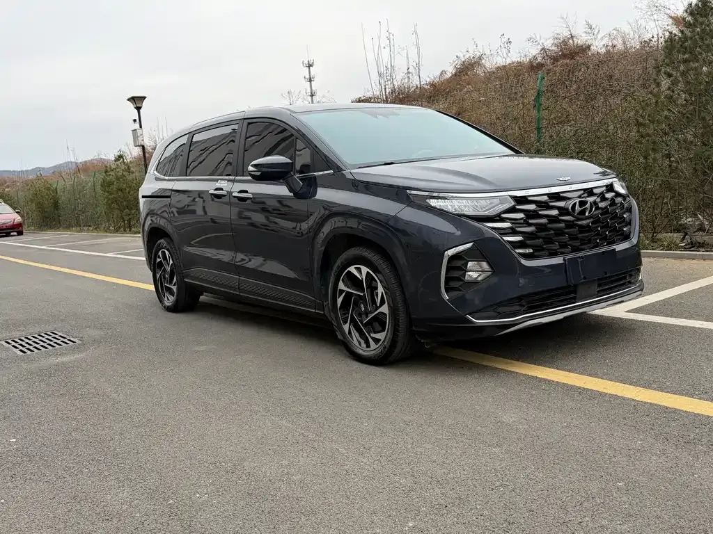 Hyundai Custo — фото 9