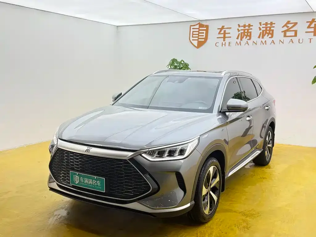 BYD PLUS New Energy — фото 1