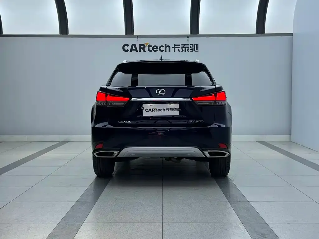 Lexus RX — фото 10