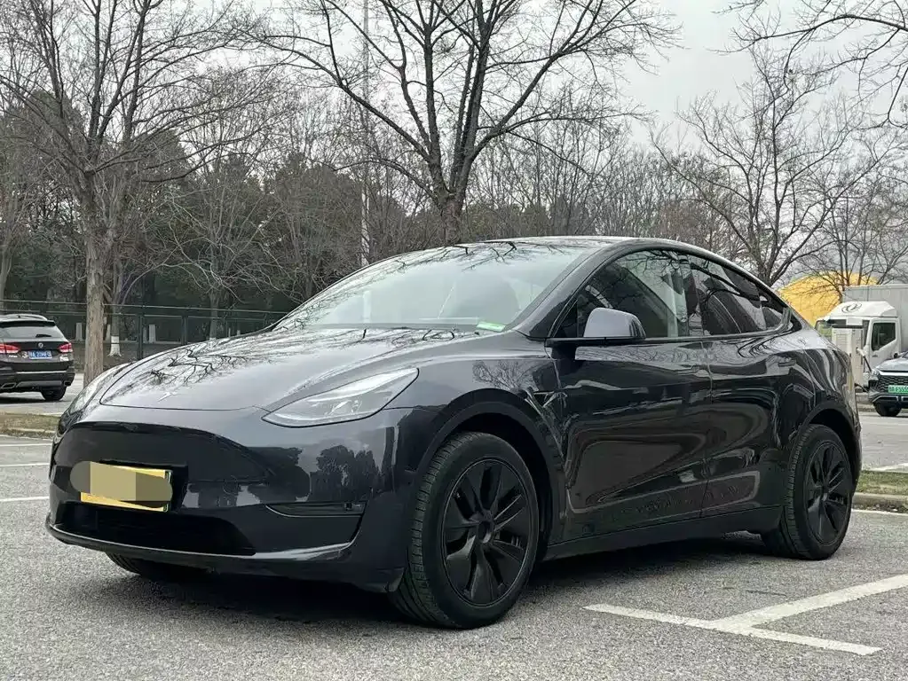 Tesla Model Y — фото 1