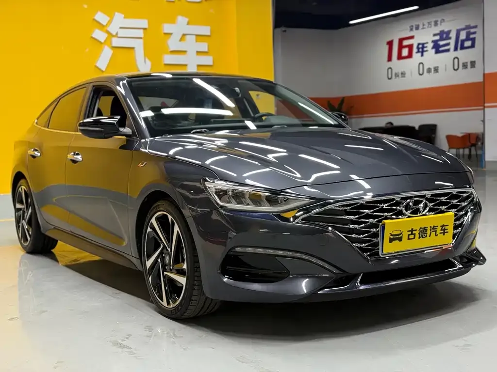Hyundai Fista — фото 10