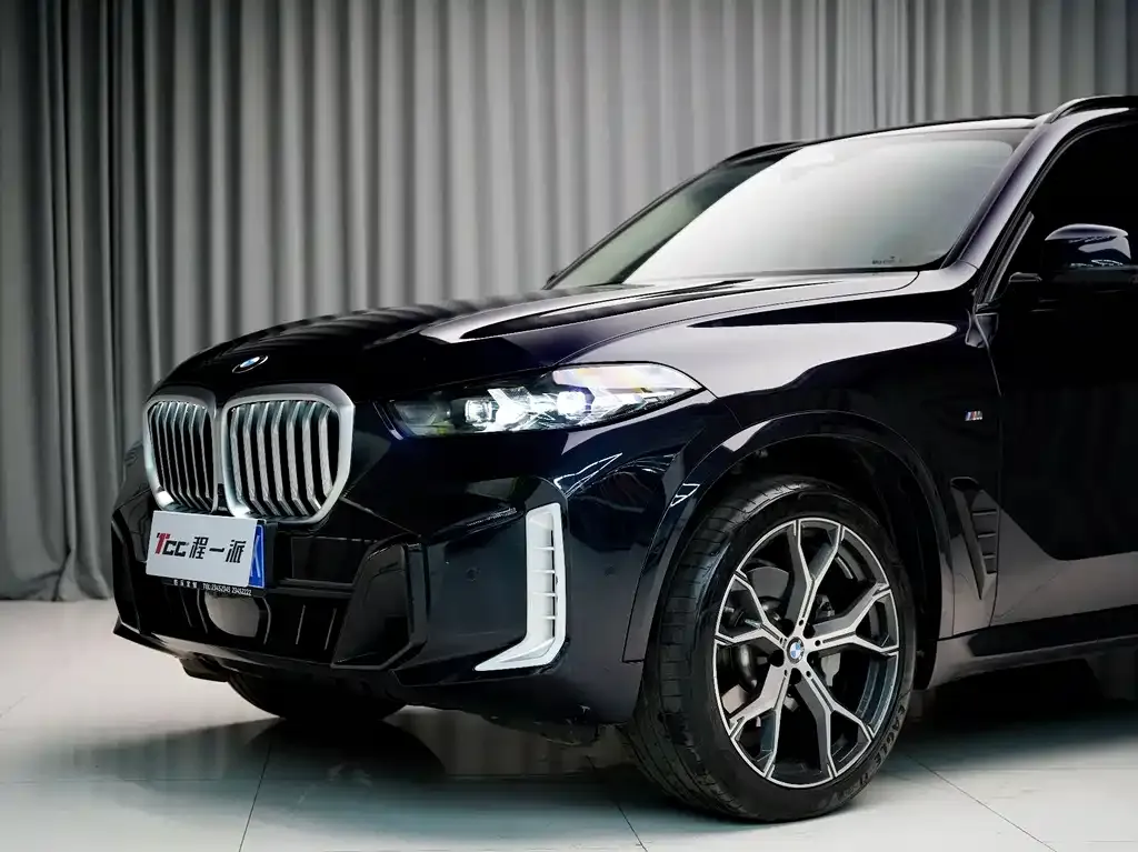 BMW X5 — фото 3