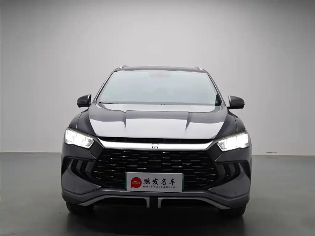 BYD Pro New Energy — фото 5