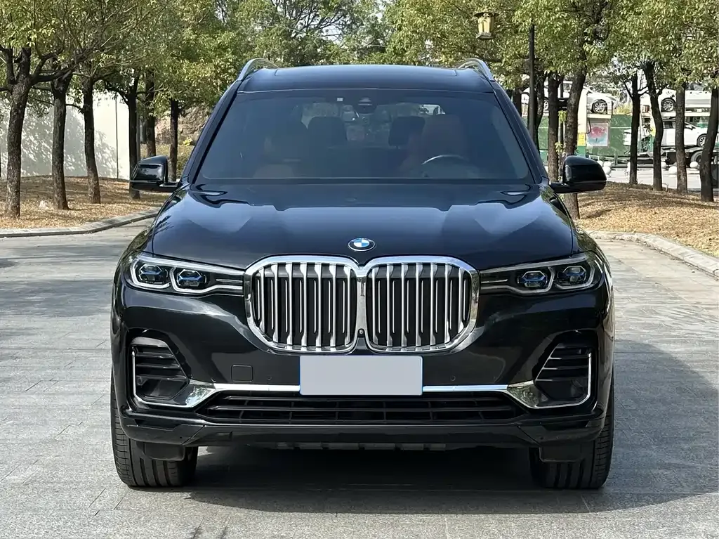 BMW X7 — фото 1