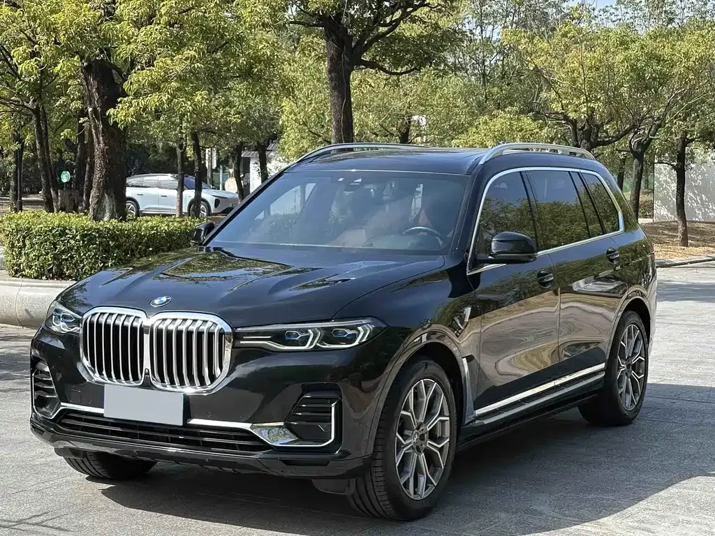 BMW X7 — фото 6