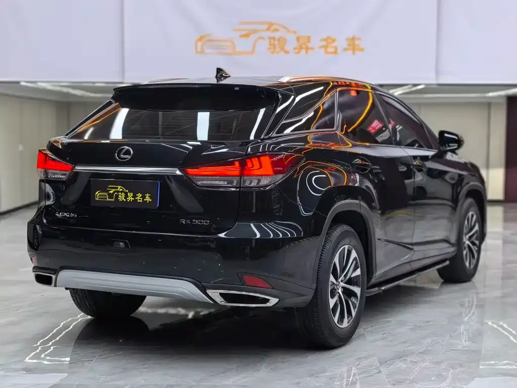 Lexus RX — фото 10
