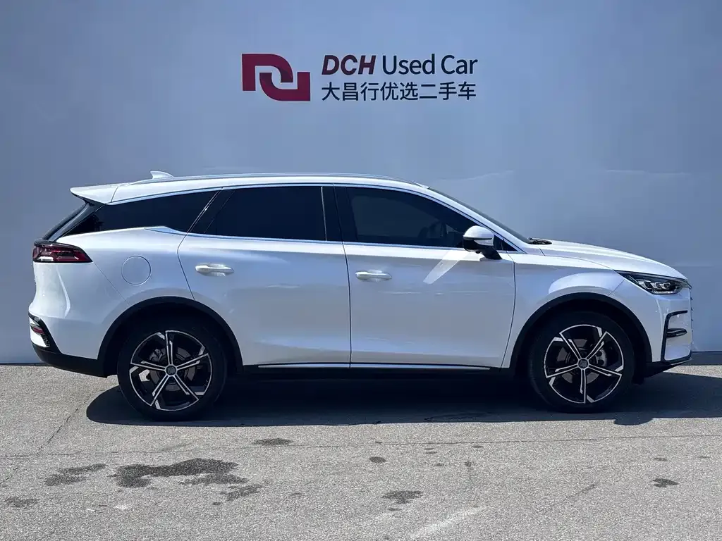 BYD Tang New Energy — фото 3