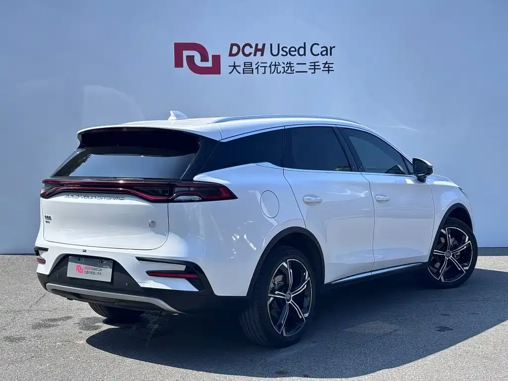 BYD Tang New Energy — фото 10