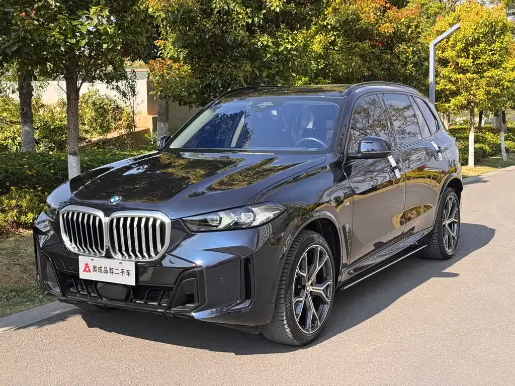 BMW X5 — фото 1