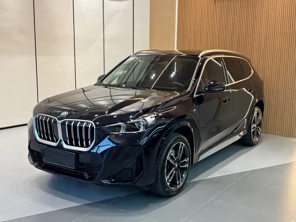 BMW X1 — фото 1