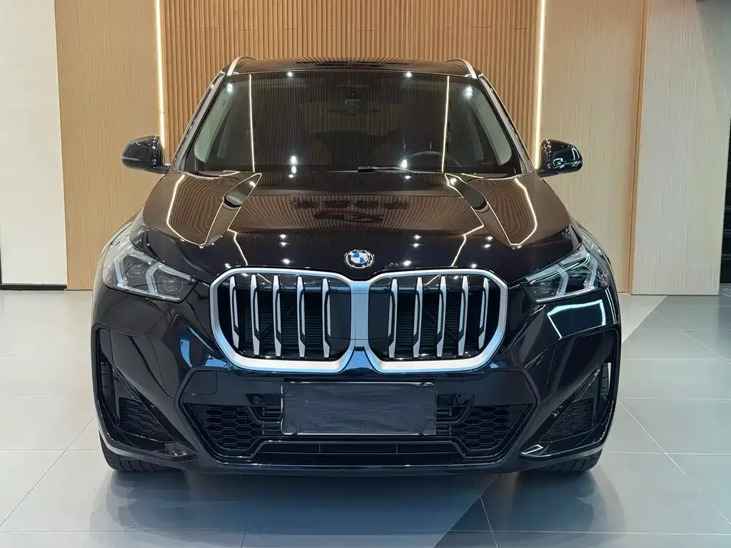 BMW X1 — фото 8