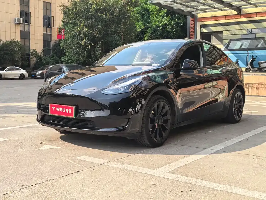 Tesla Model Y — фото 1