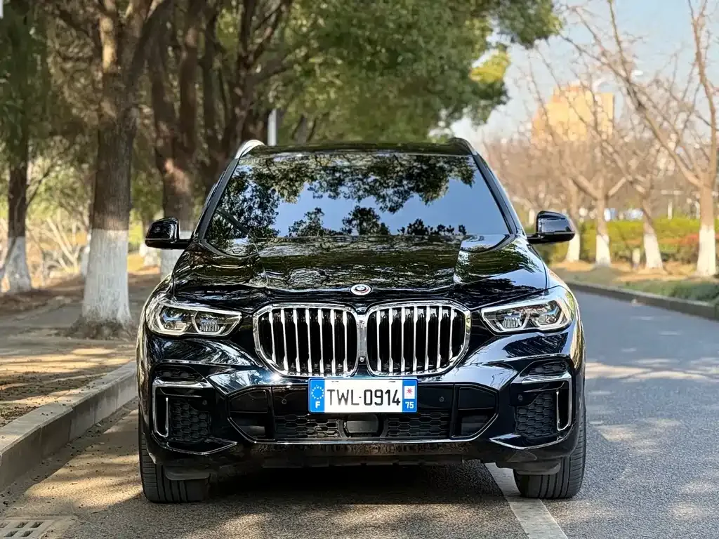 BMW X5 — фото 10