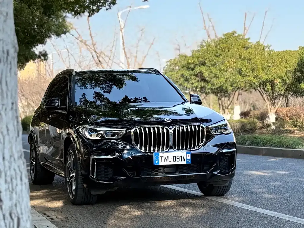 BMW X5 — фото 9