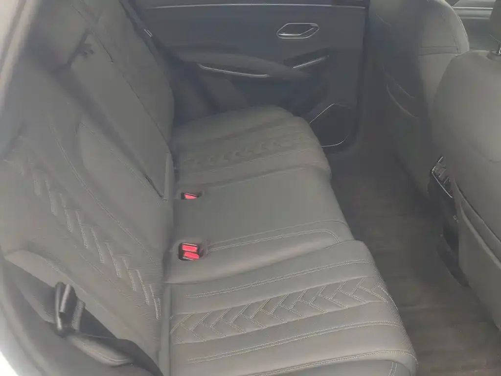 BYD L DM-i — фото 6