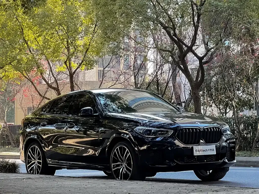 BMW X6 — фото 8