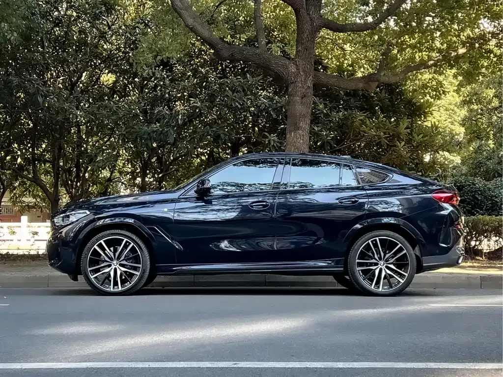 BMW X6 — фото 6