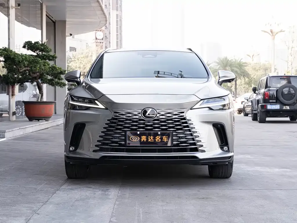 Lexus RX — фото 9
