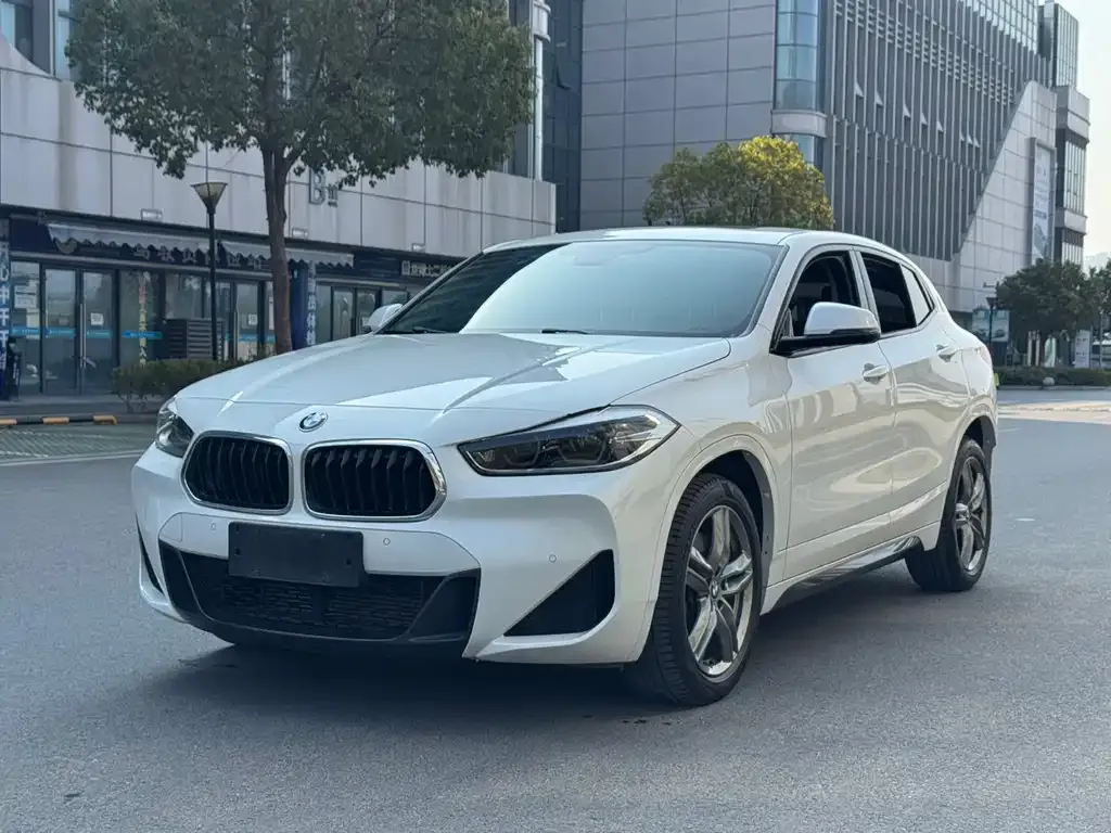 BMW X2 — фото 1