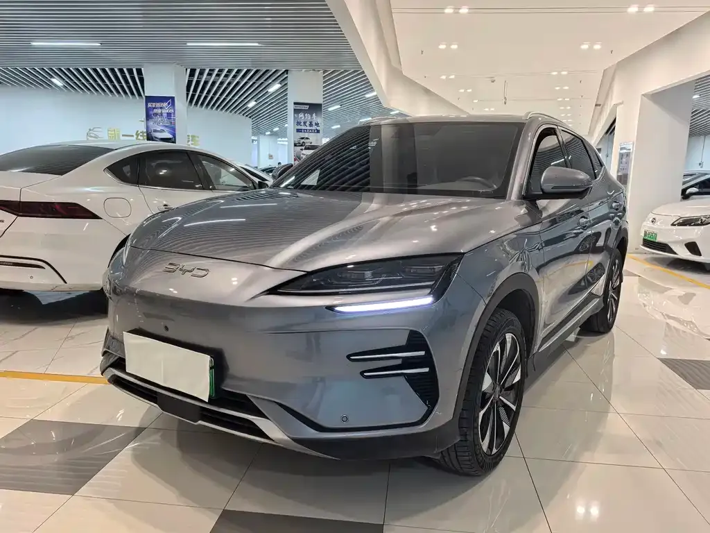 BYD PLUS New Energy — фото 1