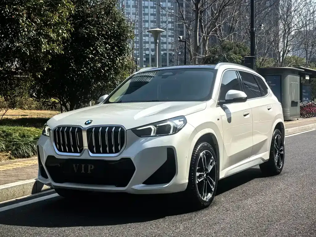 BMW X1 — фото 1