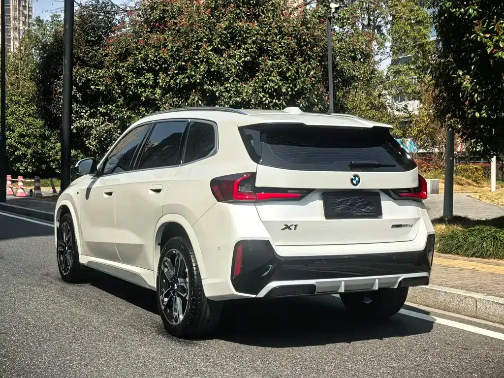 BMW X1 — фото 10