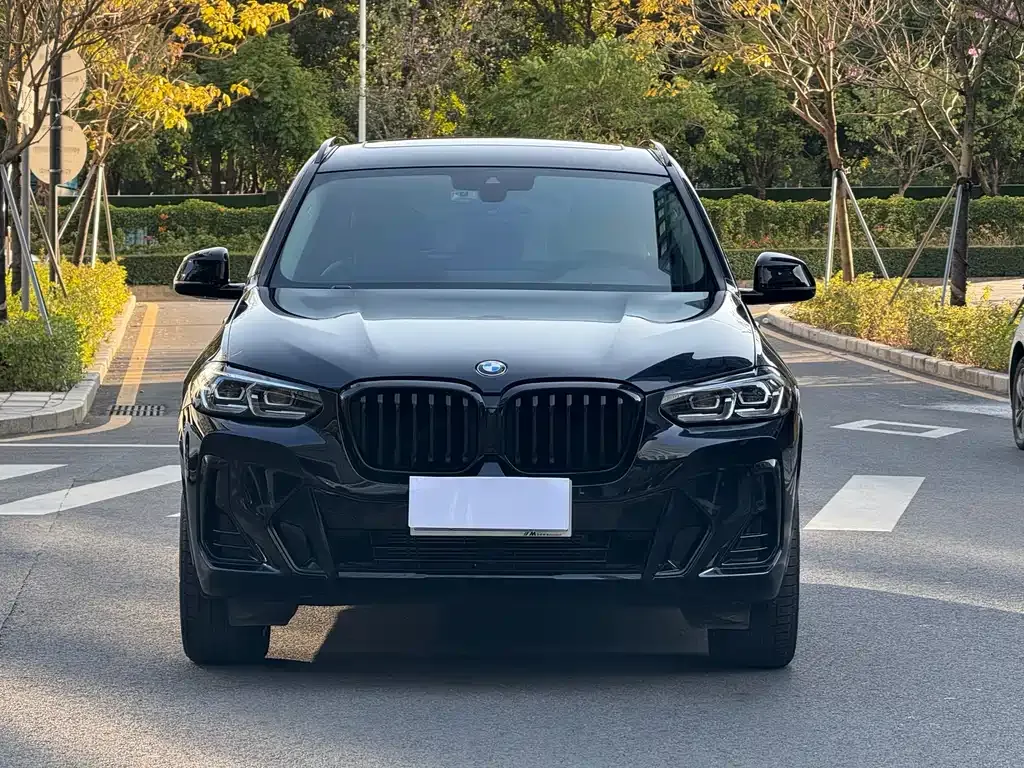 BMW X3 — фото 10