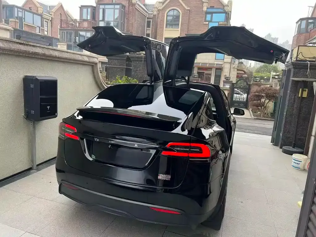 Tesla Model X — фото 9