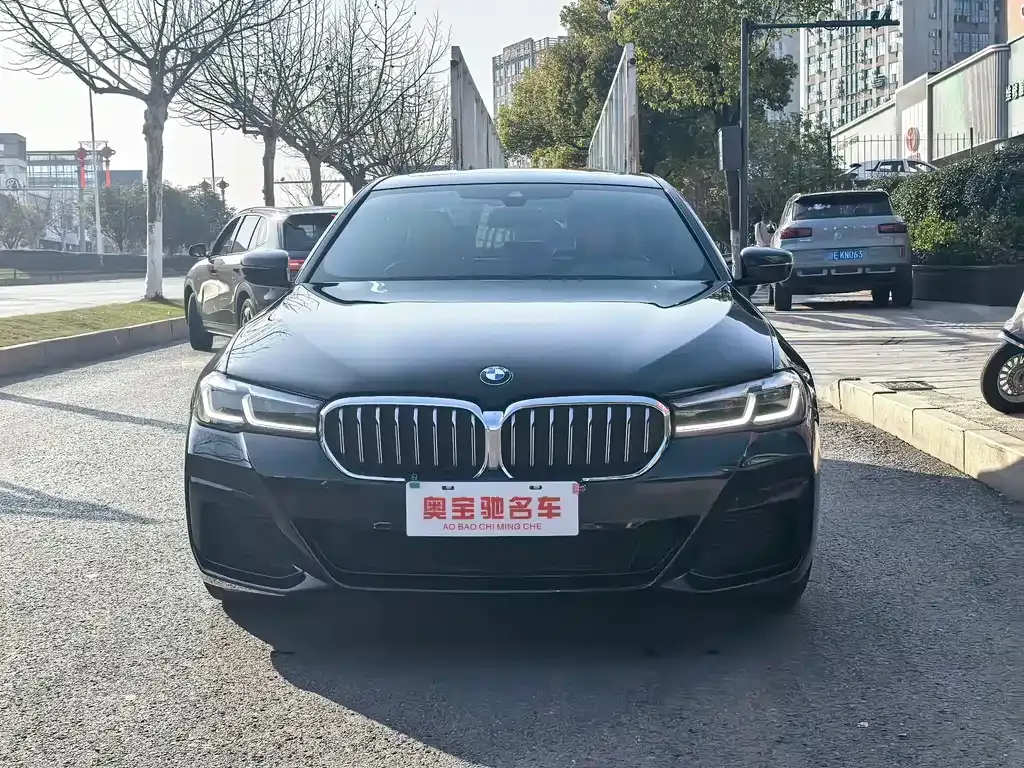 BMW 5 Series (Import) — фото 6
