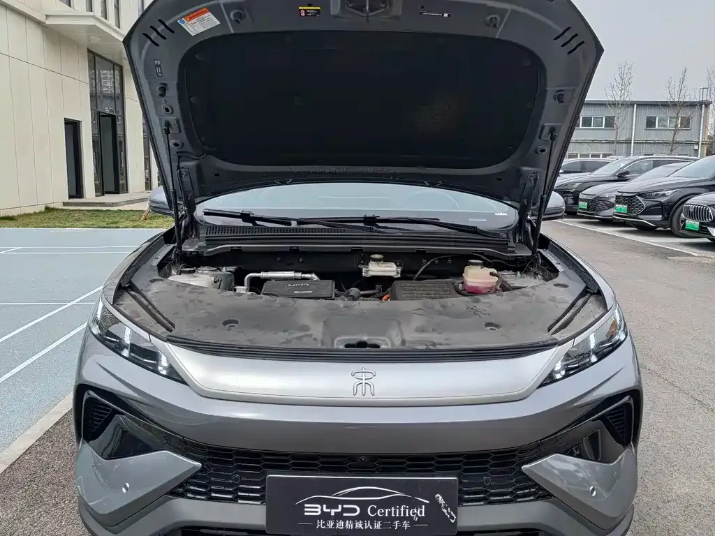BYD Pro New Energy — фото 2