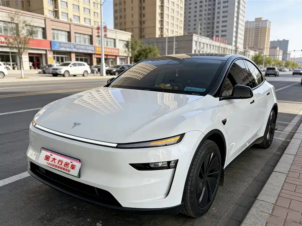 Tesla Model Y — фото 1