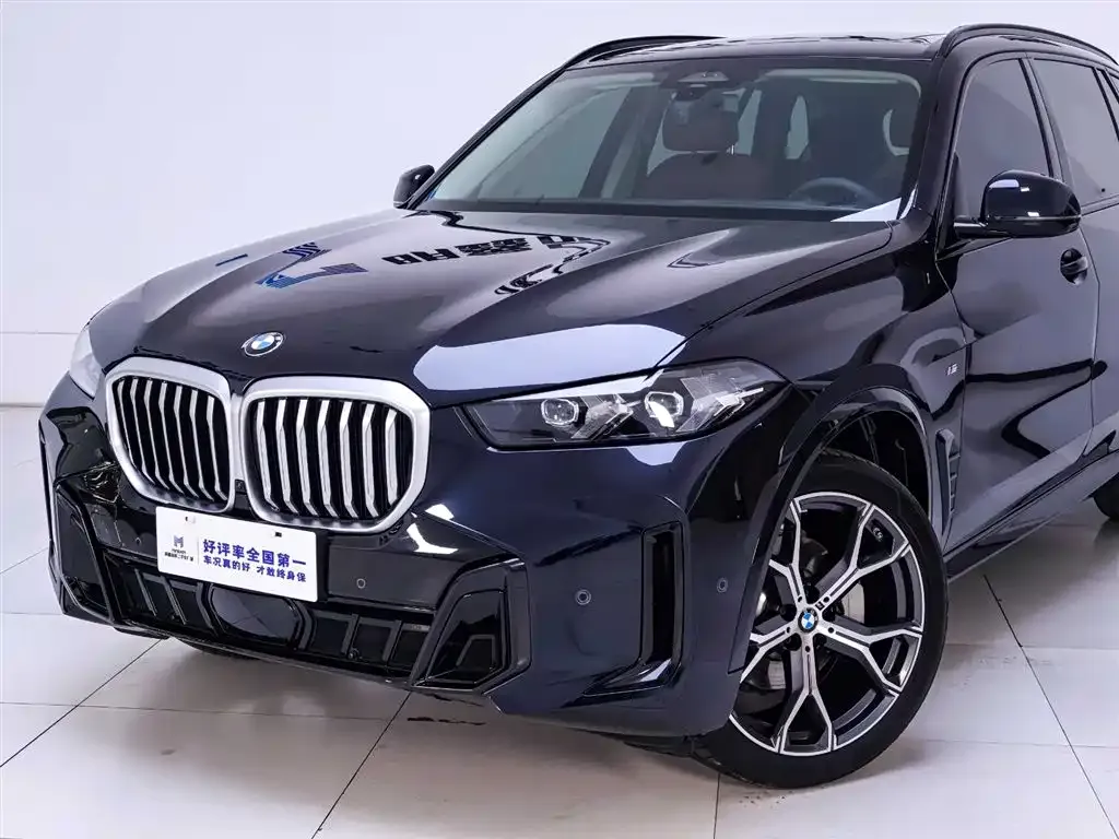 BMW X5 — фото 10