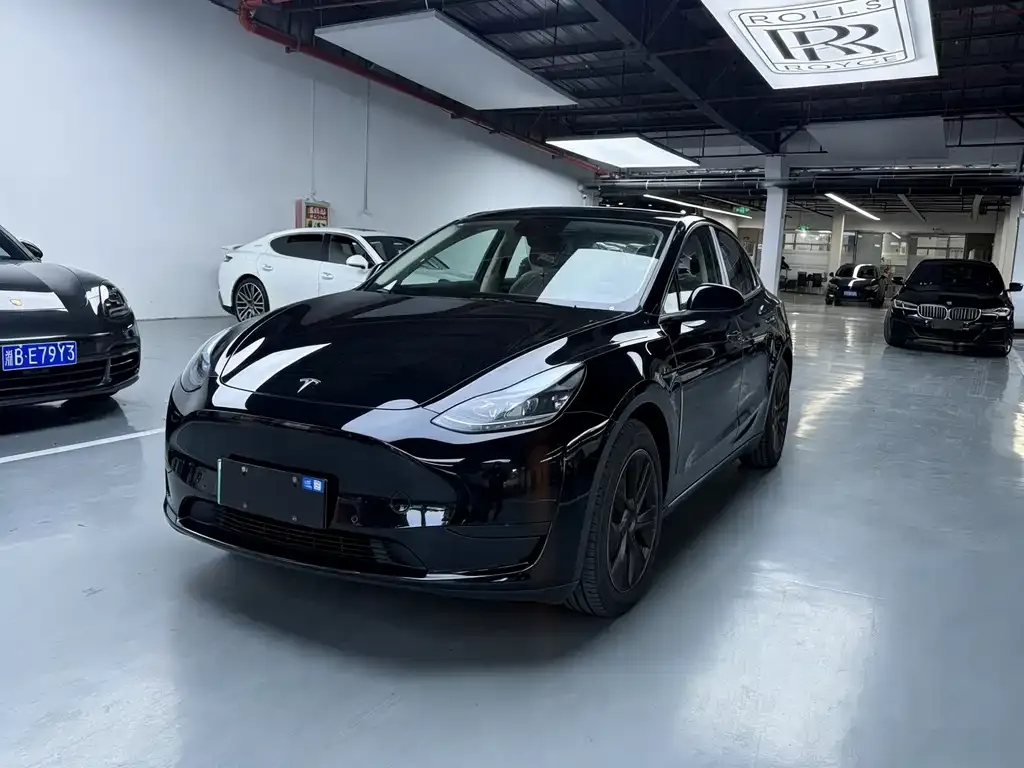 Tesla Model Y — фото 1