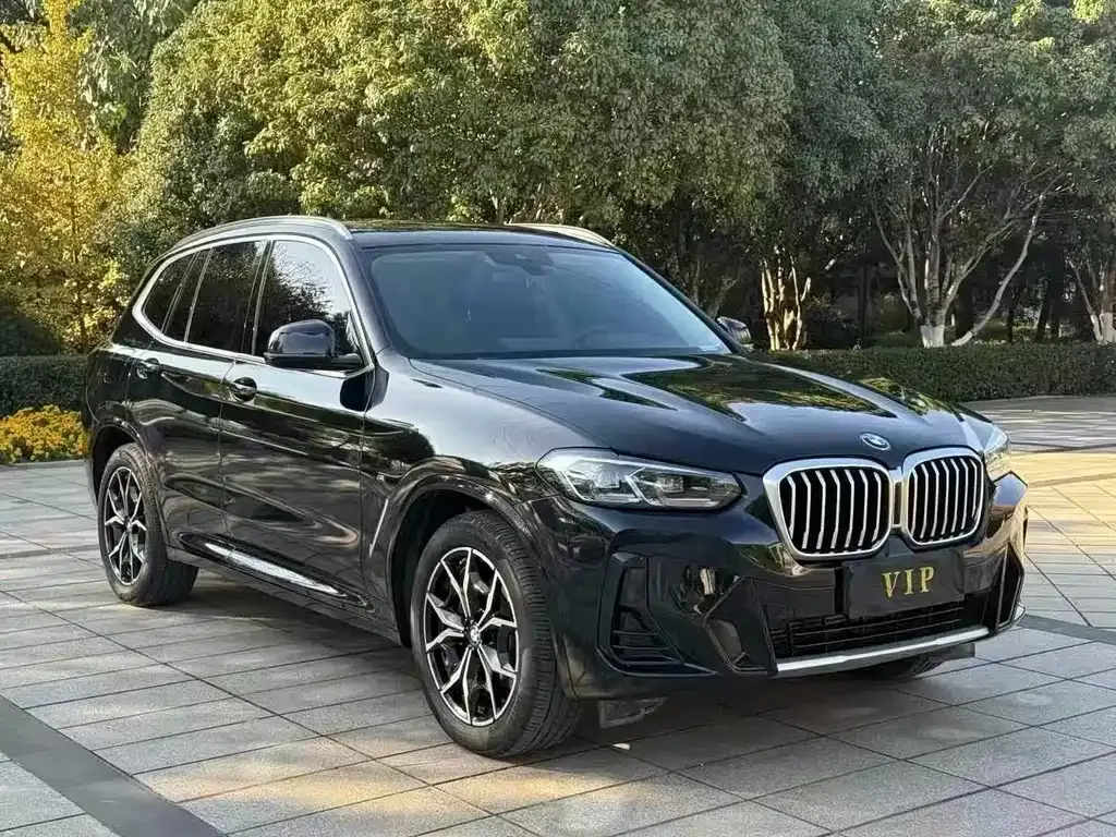 BMW X3 — фото 1
