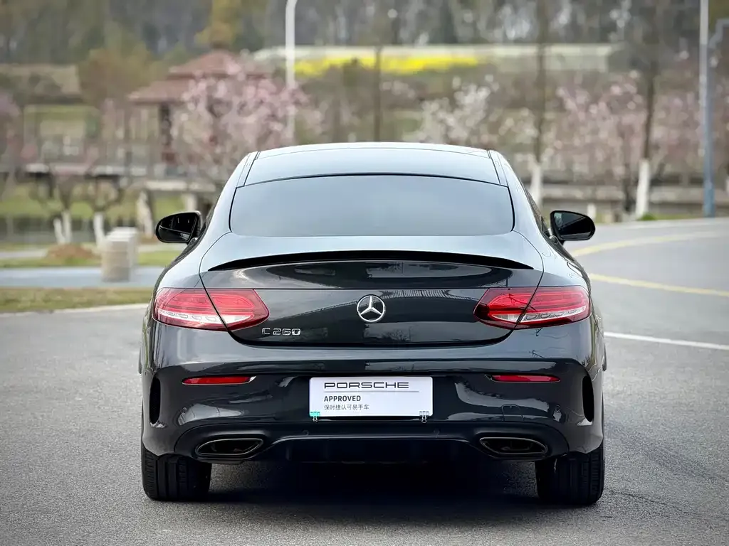 Mercedes-Benz C-Class (Import) — фото 8