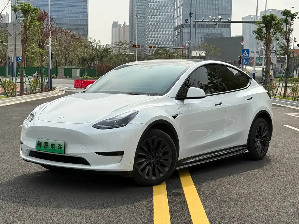 Tesla Model Y — фото 1