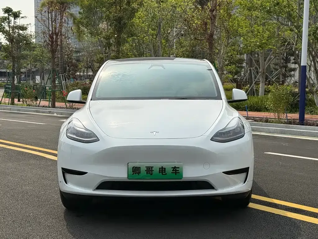 Tesla Model Y — фото 6