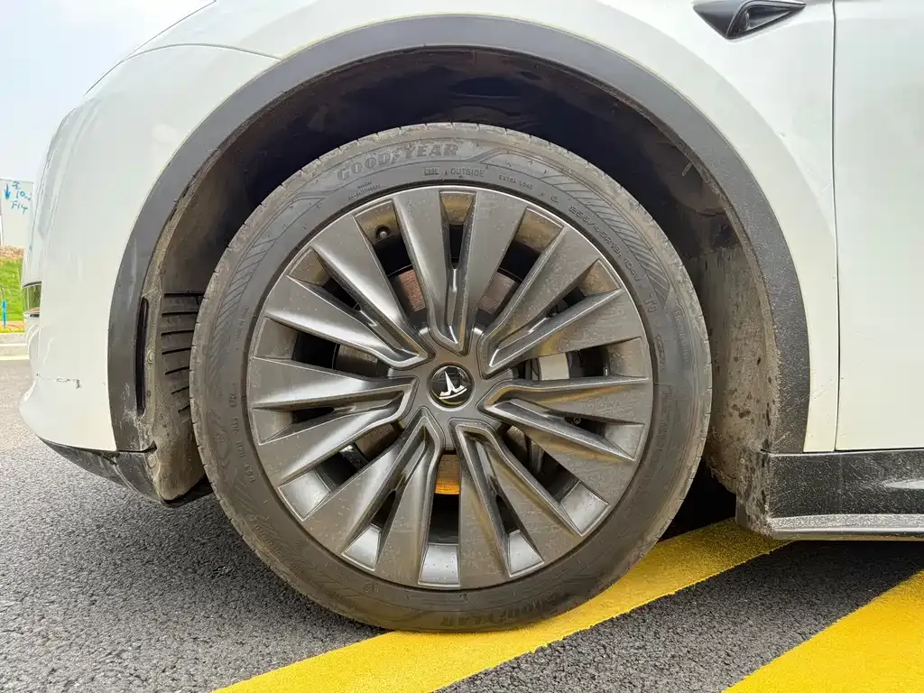 Tesla Model Y — фото 10