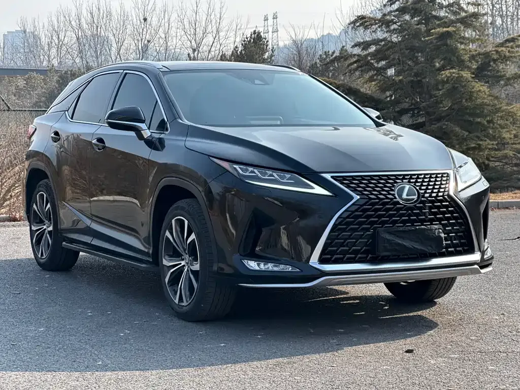 Lexus RX — фото 10