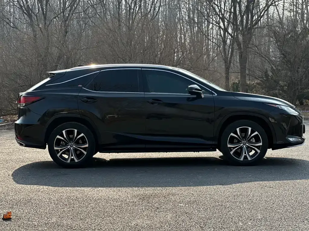 Lexus RX — фото 9
