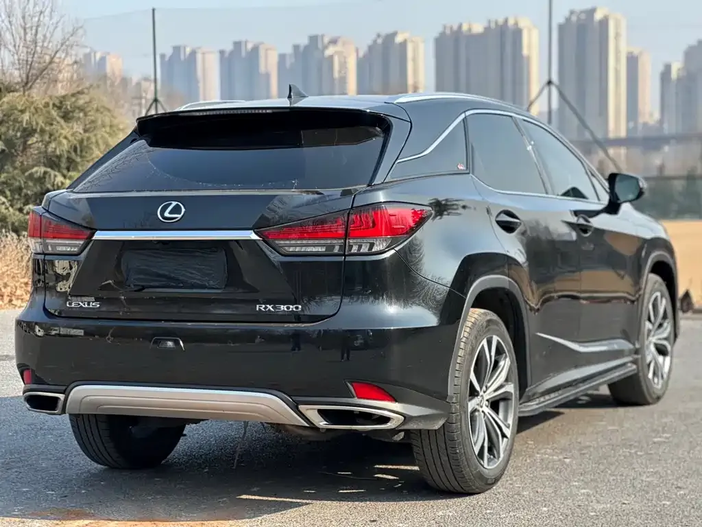 Lexus RX — фото 5