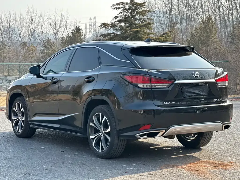 Lexus RX — фото 8