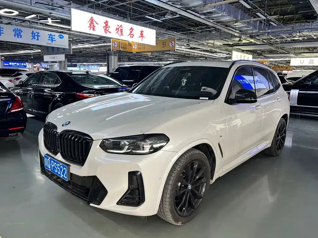 BMW X3 — фото 1