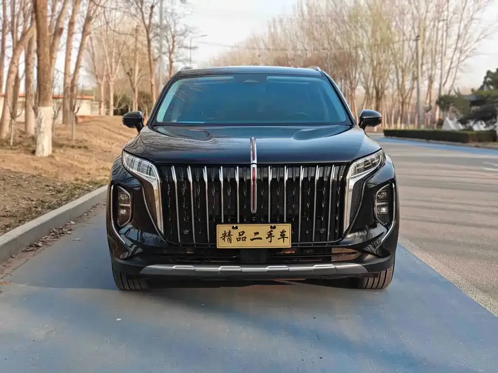Hongqi HS7 PHEV — фото 2