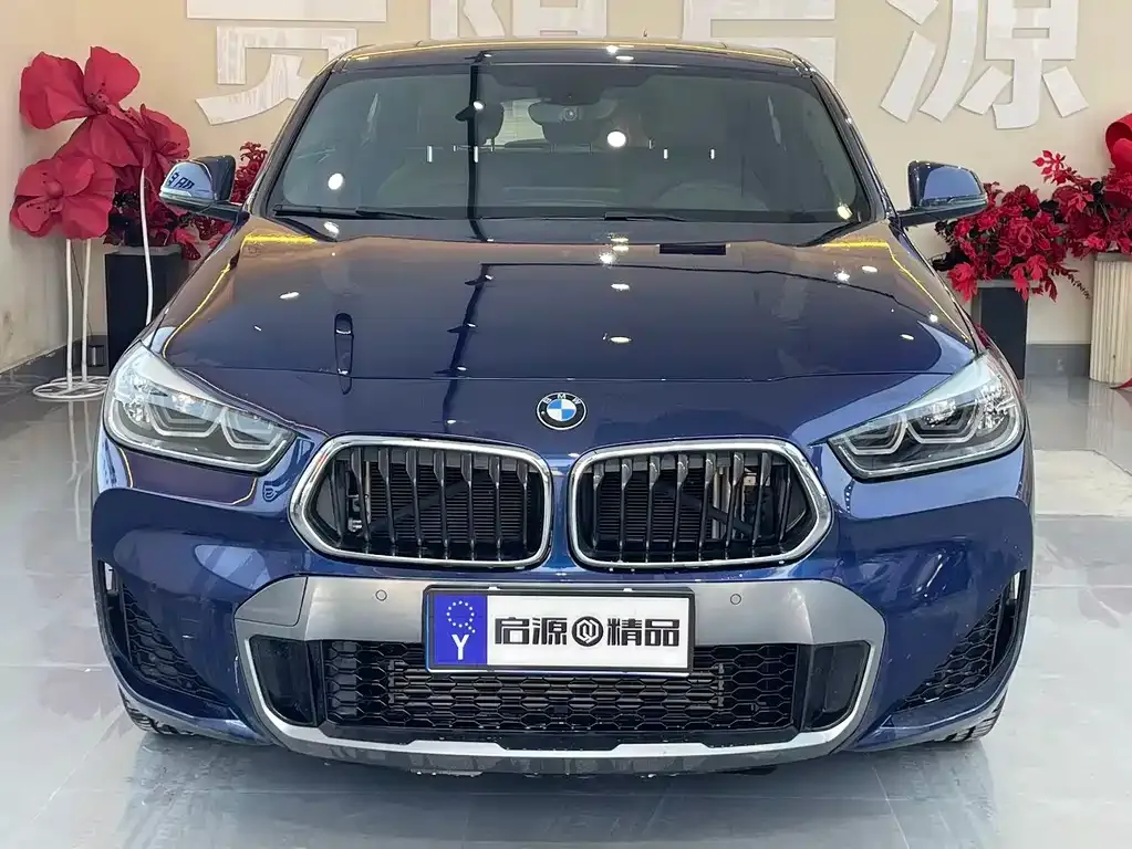 BMW X2 — фото 10