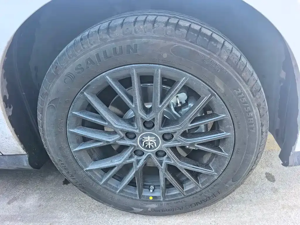 BYD Qin PLUS — фото 10